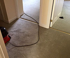 Professional Carpet Fitters